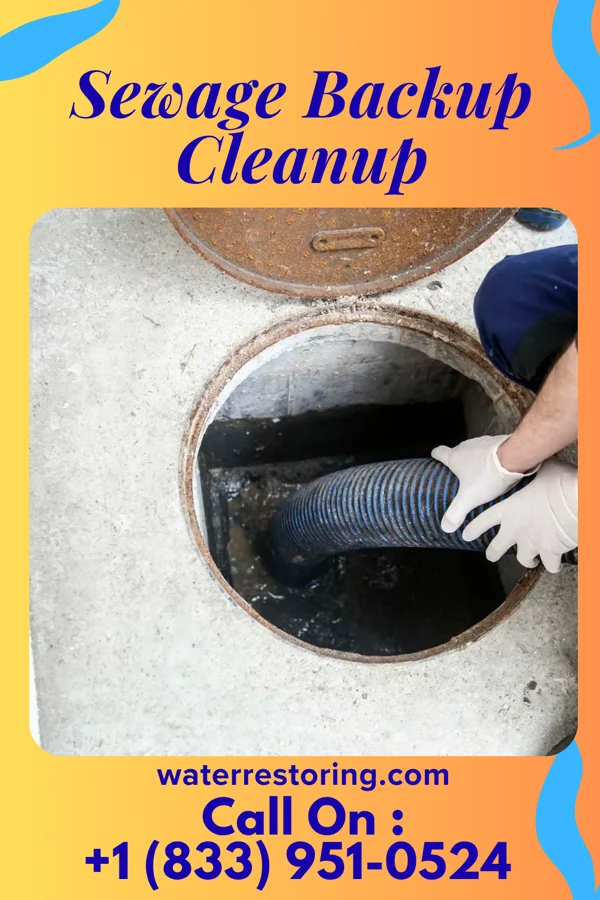 Sewage Backup Cleanup in Barryton, MI
