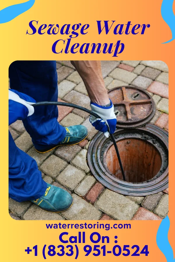Sewage Water Cleanup in Barryton, MI